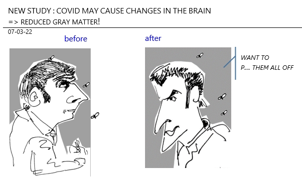 07/03/22 - New Study: Covid May alter the brain => reducing gray matter... France case!