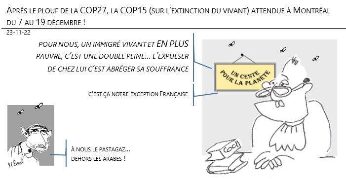 23/11/2022 - Après le plouf de la COP27, la COP15 (sur l’extinction du vivant) attendue à Montréal du 7 au 19 décembre !