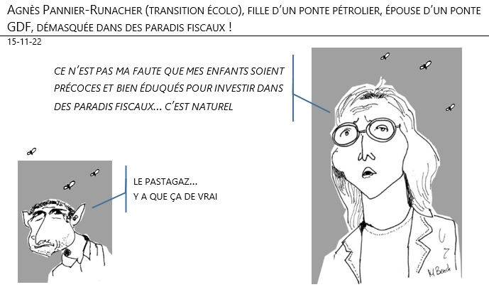 15/11/2022 - Agnès Pannier-Runacher (transition écolo), fille d’un ponte pétrolier, épouse d’un ponte GDF, démasquée dans des paradis fiscaux !