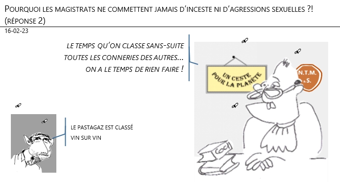 16/02/2023 – Pourquoi les magistrats ne commettent jamais d’inceste ni d‘agressions sexuelles ?! réponse 2 !