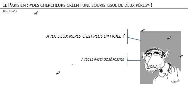 16/03/2023 – Le Parisien : «des chercheurs créent une souris issue de deux pères» !