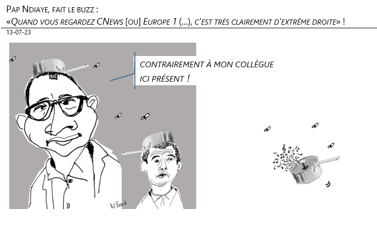 13/07/2023 – Pap Ndiaye, fait le buzz : «Quand vous regardez CNews [ou] Europe 1 (...), c'est très clairement d'extrême droite» !