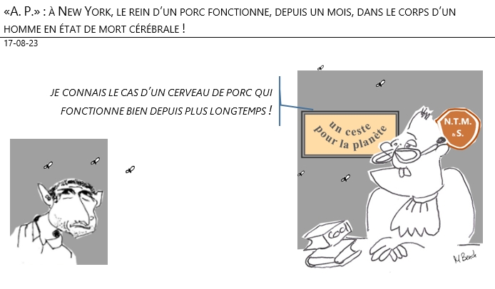 17/08/2023 – «A. P.» : à New York, un rein de porc fonctionne, depuis un mois, dans le corps d’un homme en état de mort cérébrale !